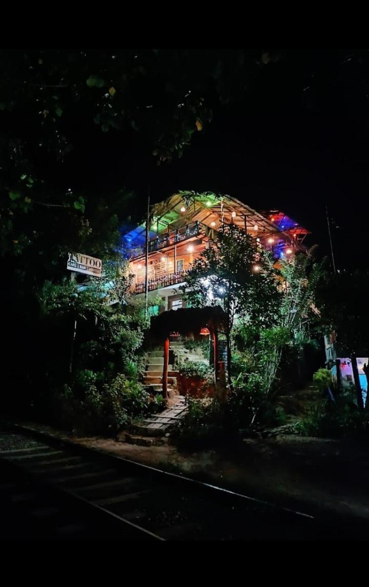 אלה Hostal Tree House מראה חיצוני תמונה