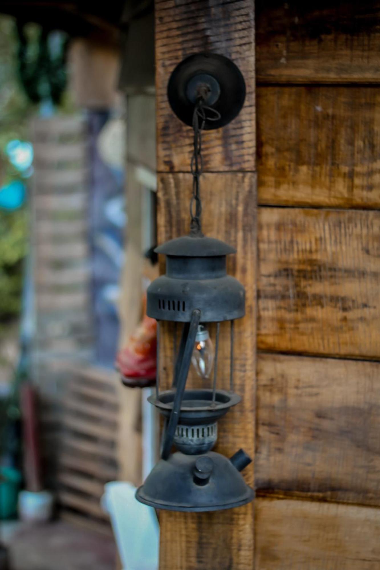 אלה Hostal Tree House מראה חיצוני תמונה