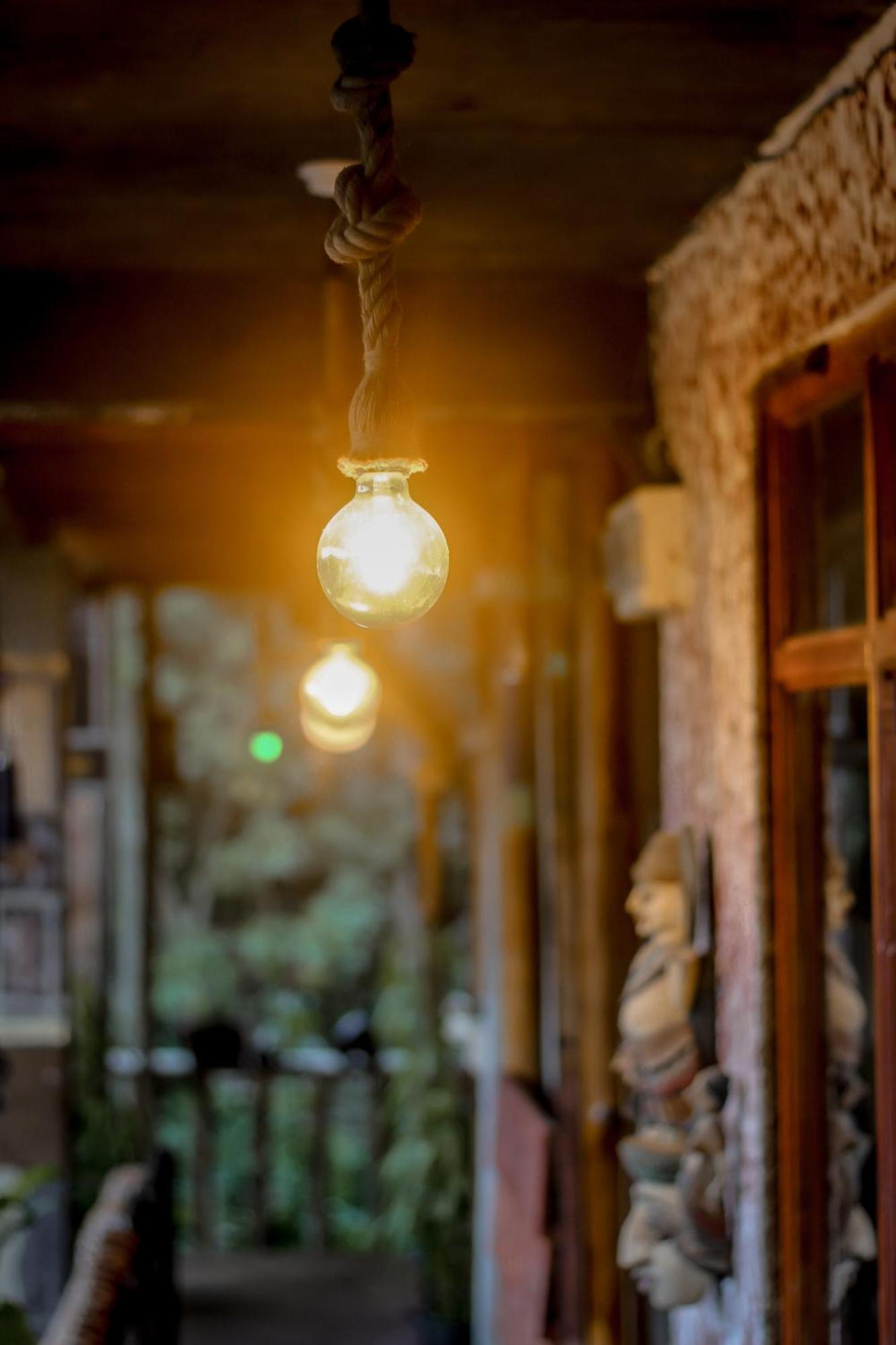 אלה Hostal Tree House מראה חיצוני תמונה