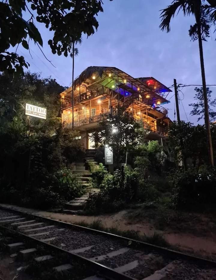 אלה Hostal Tree House מראה חיצוני תמונה