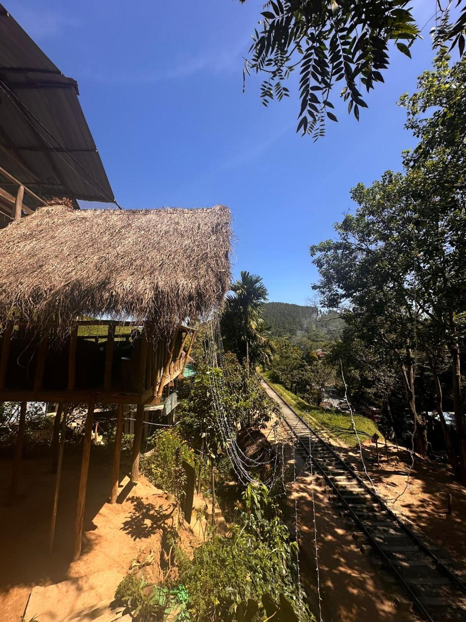 אלה Hostal Tree House מראה חיצוני תמונה
