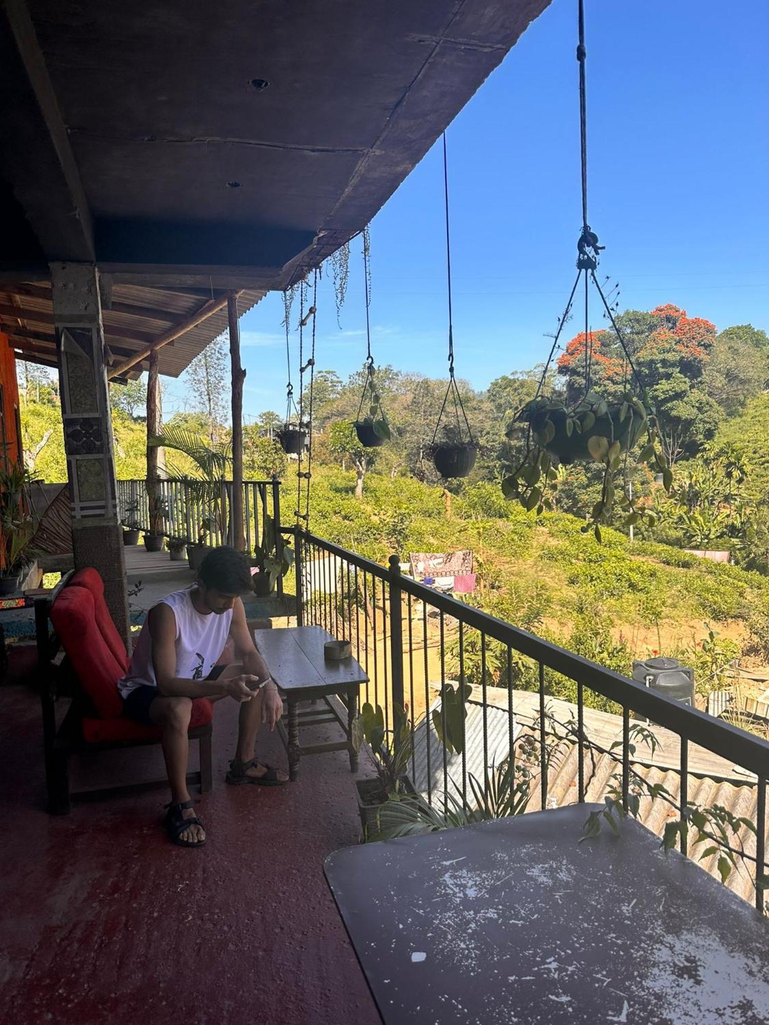 אלה Hostal Tree House מראה חיצוני תמונה